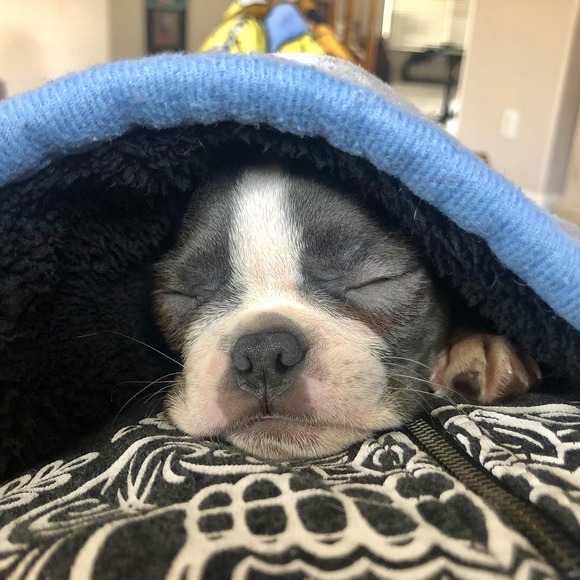 Meet your Posher, Monica - Picture 1 of 1